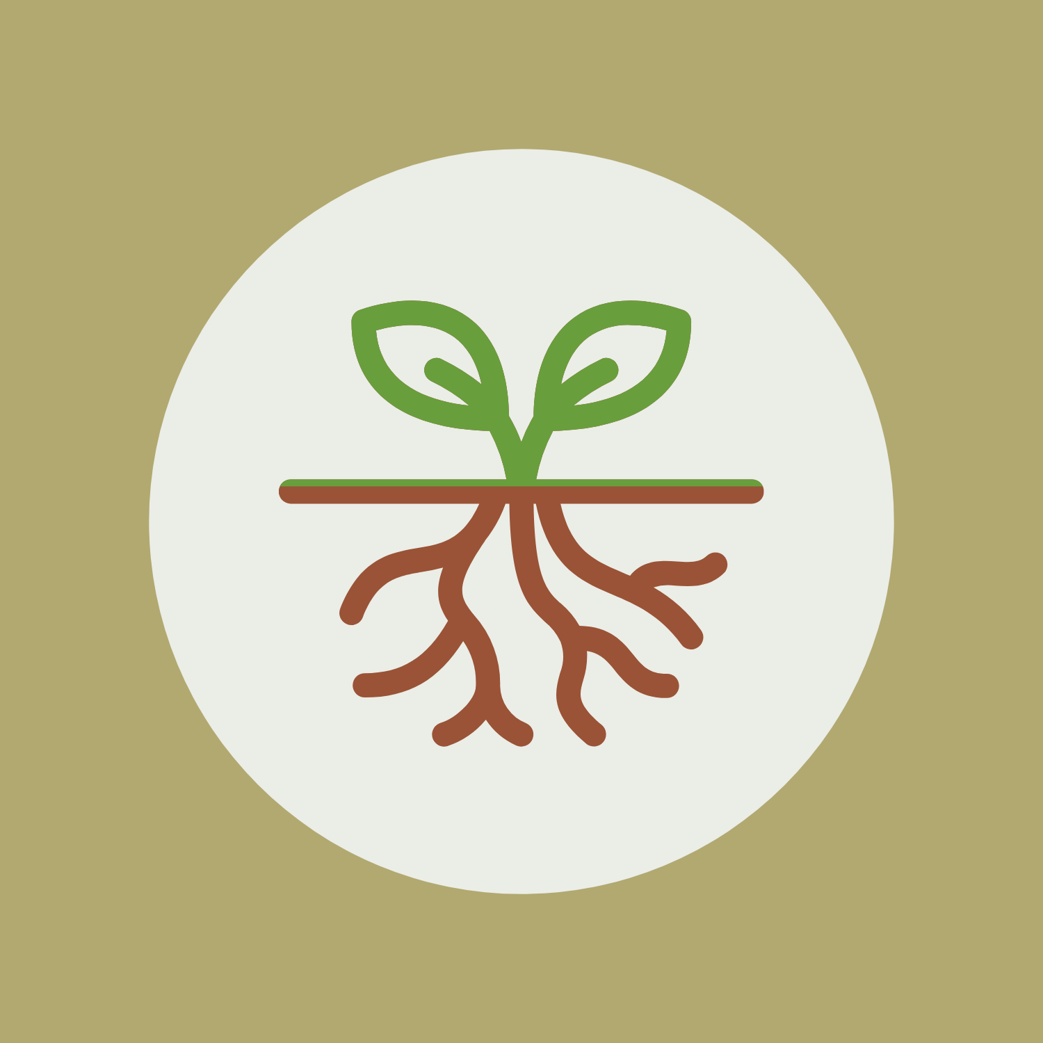First Roots Early Roots - The History of Nutrition - MootzRootz