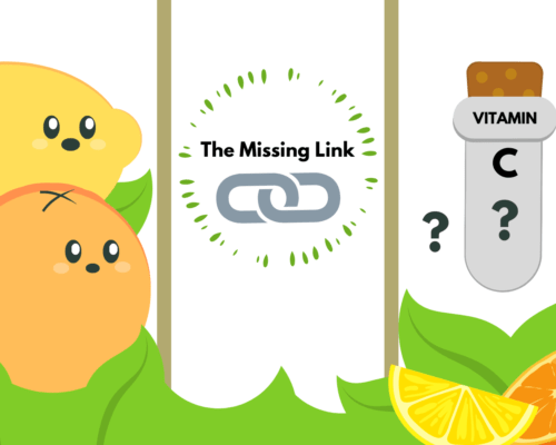 Picture illustrating the missing link between citrus and vitamin C