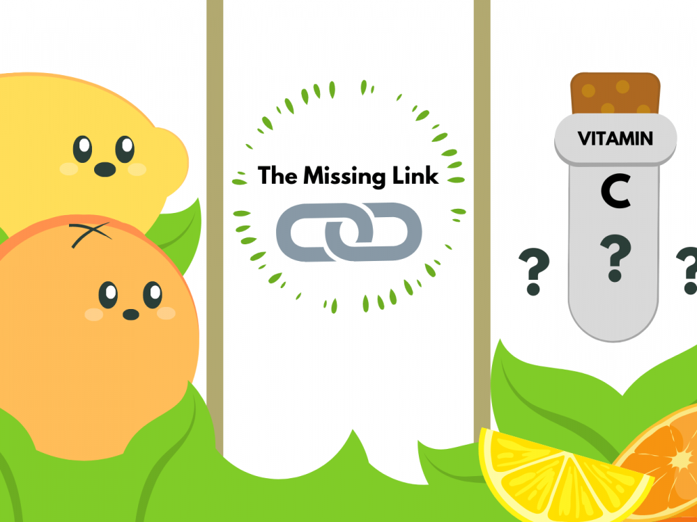 Picture illustrating the missing link between citrus and vitamin C